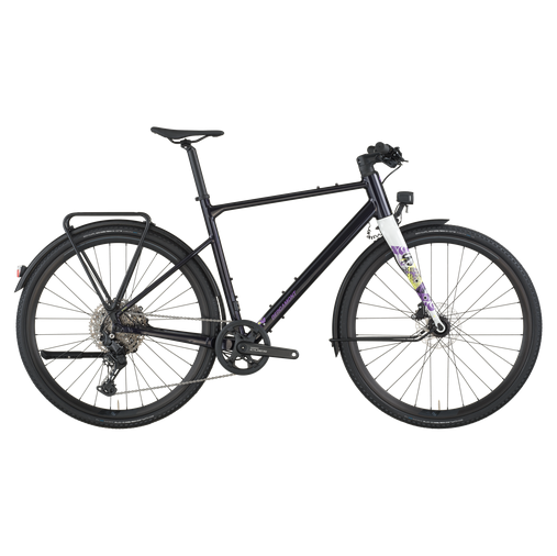 gravel bike konstanz Bergamont Grandurance FB 10 EQ